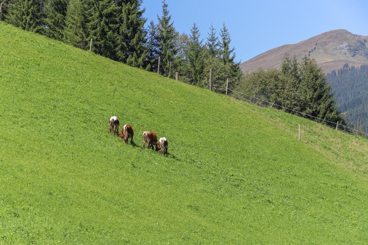Landhaus Hinterglemm Lejlighed Saalbach-Hinterglemm Eksteriør billede