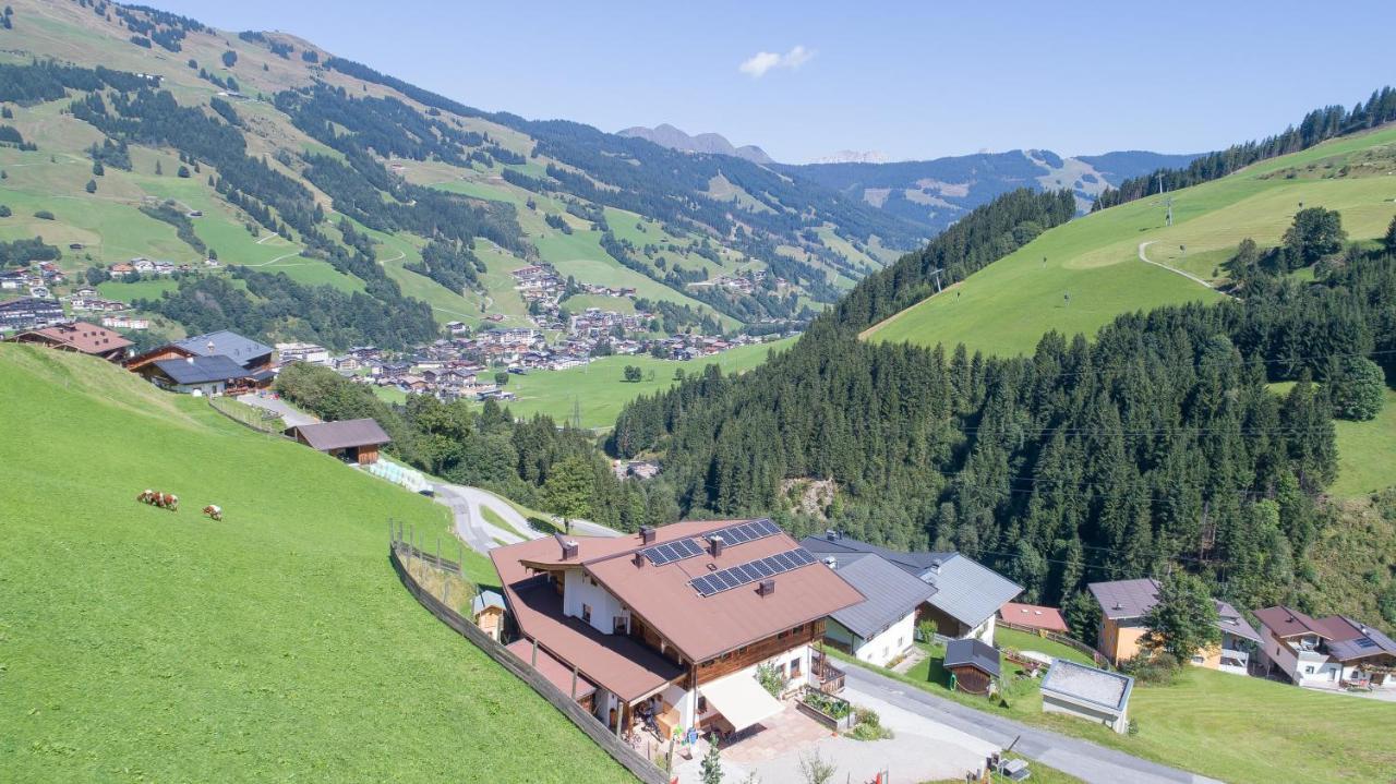 Landhaus Hinterglemm Lejlighed Saalbach-Hinterglemm Eksteriør billede